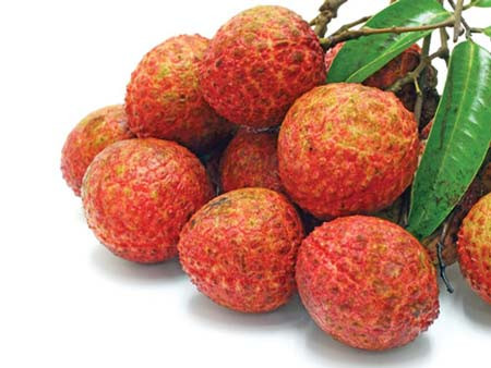 Vải có hàm lượng các khoáng chất như magie, kali và một số vitamin, đặc biệt là vitamin C rất cao. Vì thế ăn vải rất tốt cho hệ thống miễn dịch của chúng ta.