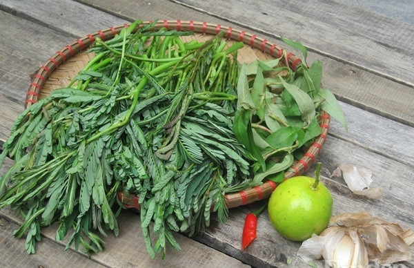 Rau rút có thể chữa mất ngủ. Bạn chỉ cần ninh nhừ rau rút, khoai sọ và lá sen, ăn cả bã lẫn nước vào buổi tối trước khi đi ngủ 30 phút. Ảnh: media.