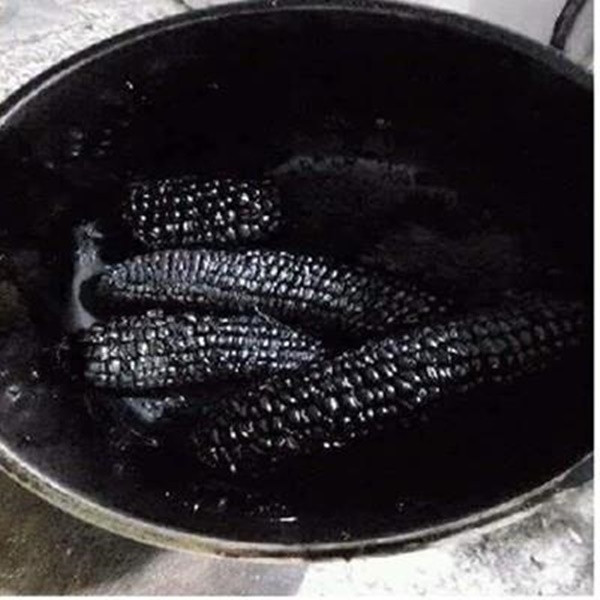 Ngô luộc bóng đêm.