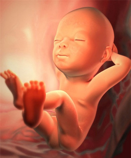Thai nhi biết nằm mơ. Từ tuần thứ 17, thai nhi có thể nằm mơ. Thậm chí, bé còn mơ nhiều hơn cả chúng ta nữa đấy(!). Một số chuyên gia cho rằng, do không thể thấy được thế giới bên ngoài nên bé thường mơ và tưởng tượng về cuộc sống bên ngoài. Tuy đây không phải giả thiết chính xác nhưng thật sự, các nhóc nằm mơ khá nhiều trong bụng mẹ, nhất là trong tam cá nguyệt thứ ba.