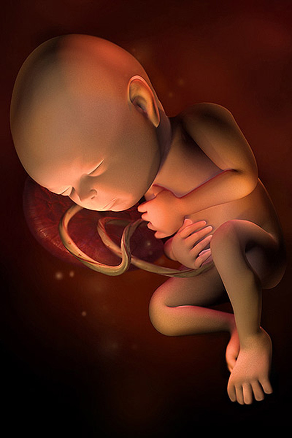 Bé biết đi tè. Từ khi ở trong bụng bé đã biết "sản xuất" nước tiểu rồi. Đầu tiên, bé nuốt một chút nước ối rồi nước ối này được lọc qua thận, sau đó thì thải trở lại tử cung. Quá trình này cứ thế lặp đi lặp lại. Rất nhiều người nói đùa rằng, các bà mẹ nên vui mừng vì bé "tè" lúc này sẽ chẳng gây ra sự phiền toái nào, nhưng chỉ cần bé chào đời thôi là mọi chuyện đã khác rồi.