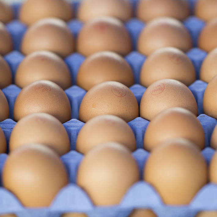 Trứng gà có hàm lượng cholesterol cao nhưng không ảnh hưởng đến cholesterol trong máu. Ảnh: vox.
