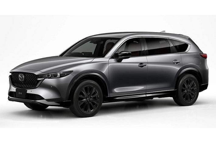 Bên trong Mazda CX-8 2023 là không gian nội thất 6 chỗ hoặc 7 chỗ như cũ. Thiết kế nội thất vẫn tạo cảm giác quen thuộc vì ít thay đổi. Hãng Mazda chỉ bổ sung đệm ghế và lò xo mới để cải thiện độ ổn định cho thân trên của người ngồi khi xe ôm cua. Bên cạnh đó là cổng USB Type C mới và màn hình cảm ứng trung tâm hỗ trợ Apple CarPlay không dây.