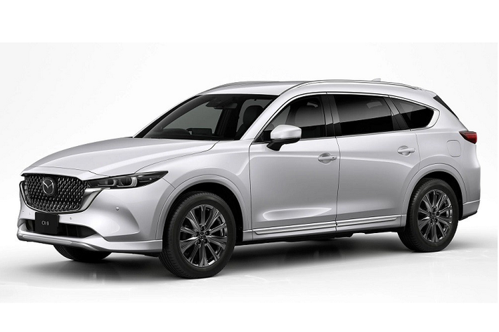 Trong khi đó, nội thất của Mazda CX-8 2023 với gói Grand Journey sẽ được trang bị ghế và tapi cửa bọc da tổng hợp pha nỉ màu xám nhạt.Với gói Sports Appearance, Mazda CX-8 2023 có thêm những chi tiết ngoại thất màu đen như lưới tản nhiệt, nẹp bên dưới cản trước/hốc bánh/sườn xe, ốp gương chiếu hậu và vành la-zăng 19 inch. Nội thất sẽ được bọc da màu đỏ hoặc đen với chỉ khâu xám nhạt.