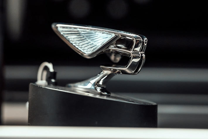 Bentley mới đây đã cho ra mắt phiên bản thứ sáu của linh vật này kể từ khi logo này xuất hiện lần đầu tiên vào giữa những năm 1920. Phiên bản nâng cấp của logo Bentley Flying B lần này không khác biệt quá nhiều so với thiết kế trước đó.