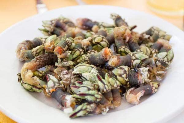 Ngoài luộc, ốc cổ ngỗng còn có thể được chế biến bằng cách xào, nướng. Dù chế biến theo cách nào, ốc cổ ngỗng cũng mềm ngọt, đậm vị và giàu chất dinh dưỡng.