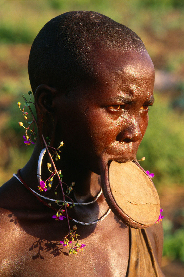 Đối với bộ tộc Mursi ở Ethiopia, những chiếc đĩa môi lớn sặc sỡ là biểu tượng của "vẻ đẹp tuyệt trần". Phụ kiện độc đáo này thường dành cho các thiếu nữ chưa chồng hoặc phụ nữ mới kết hôn.