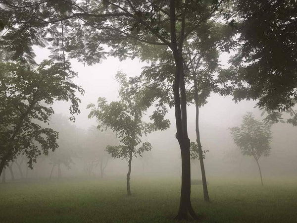 Giải thích hiện tượng này, trên trang Pháp luật TP HCM, ông Lê Đình Quyết, Phó Trưởng phòng dự báo Đài Khí tượng thủy văn khu vực Nam Bộ, cho biết hiện tượng này thỉnh thoảng xuất hiện trong mùa mưa ở Nam bộ. (Ảnh: Pháp luật TP HCM)