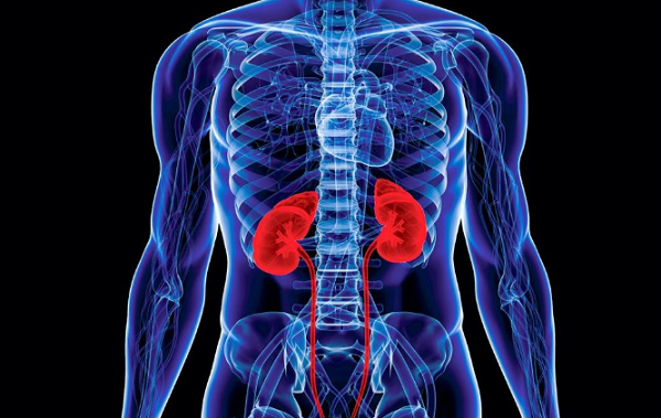 Cách duy nhất để xác định liệu có mắc bệnh hay không là làm xét nghiệm chức năng thận. Vậy nhưng, chú ý quan sát những dấu hiệu bất thường khi nằm ngủ cũng giúp bạn nhận diện bệnh thận.