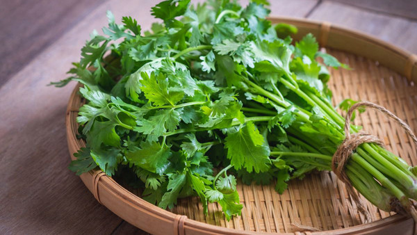 Rau mùi. Rau mùi là thực phẩm lành mạnh song không phải ai cũng thích hương vị này. Ước tính, 100g lá rau mùi có chứa 86,3% nước; 3,3% protid; 0,6% lipid; 2,3% vitamin và khoáng chất vi lượng; 1,2% chất xơ và 6,3% đường.
