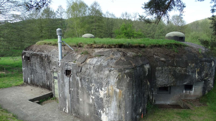Ngoài ra tuyến phòng thủ Maginot được xây dựng, không phải từ sự hèn nhát của người Pháp như nhiều người lầm tưởng, mà xuất phát từ quy mô dân số. Năm 1939, Pháp có dân số khoảng 40 triệu người; trong khi đó, Đức có dân số khoảng 70 triệu người. Nếu chiến đấu với một kẻ thù vượt trội về số lượng là rất nguy hiểm.