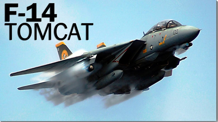 Mặc dù F-14 là loại chiến đấu cơ có nhiều tính năng hiện đại, nhưng sau khi Liên Xô sụp đổ, thì tiêm kích F-14 không còn là nhu cầu. Đặc biệt là yêu cầu cầu cao về bảo dưỡng và chi phí hoạt động. Tuy nhiên quyết định rút F-14 ra khỏi biên chế, đã gây nên nhiều tranh cãi đến tận ngày nay.