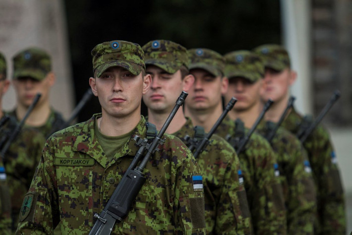 Mặc dù giáp nước Nga hùng mạnh, nhưng quân đội Estonia không có xe tăng chiến đấu chủ lực. Lực lượng lục quân có một số xe bọc thép chở quân, xe chiến đấu bộ binh và xe bọc thép với tổng số khoảng 150 chiếc. Ngoài ra, còn có khoảng 100 đơn vị pháo xe kéo và tự hành.