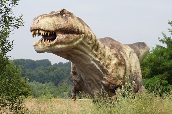Từ “Dinosaur” (khủng long) bắt nguồn từ tiếng Hy Lạp cổ đại có nghĩa là “thằn lằn kinh khủng”.