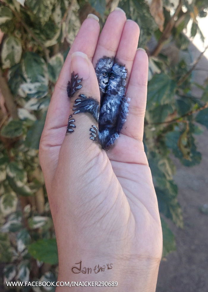 Chú khỉ nhỏ xinh ngại ngùng ôm chặt lấy ngón tay Iantha.