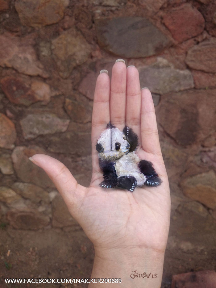 Chú gấu Panda nhỏ xinh nằm gọn trong lòng bàn tay Iantha.