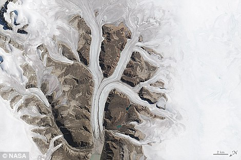 'K': Hình ảnh của một sông băng ở Sirmilik, thuộc Vườn Quốc gia Pond Inlet ở Mittimatalik, Canada. Chữ K được tạo nên từ thực vật phù du, sinh vật biển, sông đóng băng