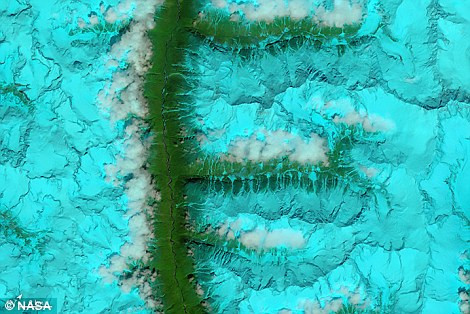'F': Vệ tinh Aqua của NASA đã ghi lại một thung lũng đông nam Tây Tạng phủ đầy tuyết, nổi bật là các thảm thực vật vào ngày 4/8/2014.