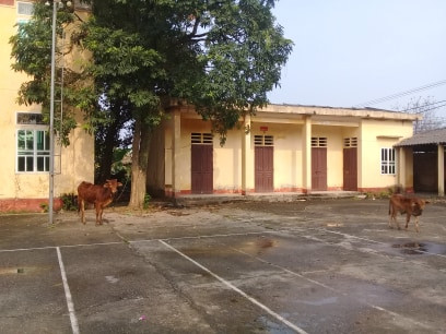 Tuy nhiên, một thực trạng đáng buồn hiện nay trên địa bàn tỉnh Phú Thọ đang bị dư thừa các trụ sở UBND xã sau sáp nhập. Nhiều trụ sở không còn được sử dụng, cỏ mọc um tùm, biến thành nơi chăn thả trâu bò.