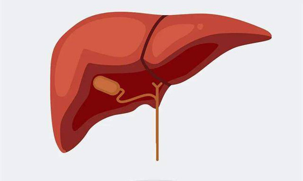 Hầu hết chúng sẽ được lưu trữ trong gan và các mô mỡ. Theo thời gian, vitamin tích lũy sẽ làm tăng gánh nặng cho gan, làm suy yếu chức năng giải độc của gan. Tích tụ lượng lớn các chất độc trong cơ thể sẽ gây hoại tử tế bào gan, gây tổn thương gan. Nếu không được can thiệp kịp thời, người sử dụng còn có khả năng đối diện nguy cơ xơ gan. Do vậy, bạn nên duy trì ăn uống điều độ thay vì lạm dụng vitamin, đặc biệt là 4 loại vitamin phổ biến dưới đây.