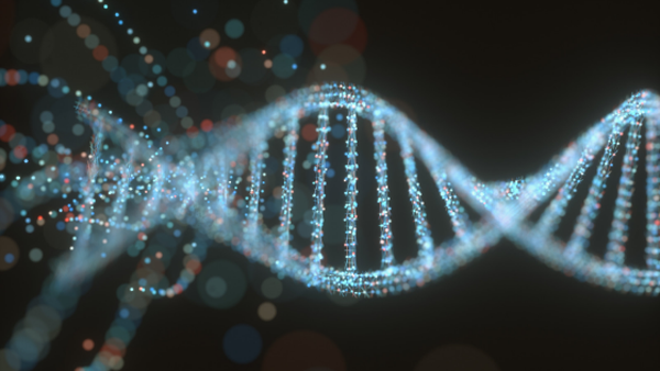 Chuyên gia cho biết, purin đóng vai trò đặc biệt quan trọng với DNA, RNA của tế bào. Đây cũng là thành phần không thể thiếu trong nhiều phân tử sinh học khác như NAD, GTP, ATP, Coenzyme A, Cyclic AMP.