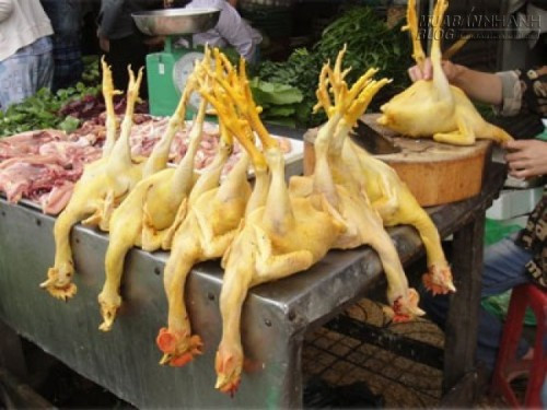 Gà vàng ươm do nhuộm hóa chất. Đây là một trong những thực phẩm nhiễm hóa chất hàng đầu người tiêu dùng nên cẩn trọng. Gà là món không thể thiếu trong cỗ cúng cũng như mâm cơm Tết của người Việt. Nhưng thời gần đây, dư luận không khỏi lo lắng khi có nhiều bài báo phản ánh về việc tiểu thương sử dụng “bột sắt” tẩm vào da gà để biến thịt gà công nghiệp có màu trắng chuyển sang màu vàng nhằm đánh lừa người tiêu dùng.