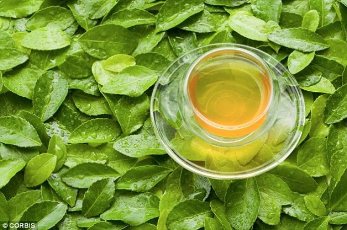Bên cạnh đó, các nhà nghiên cứu khẳng định uống rượu không có tác dụng chống lại cái lạnh như mọi người vẫn nhầm tưởng. Vì thế mọi người không nên uống rượu mà nên ăn các thực phẩm giàu năng lượng và chất dinh dưỡng, chất béo, protein... Có thể uống canh nóng, trà nóng hoặc nước gừng có tác dụng ủ ấm cơ thể mà vẫn tốt cho sức khỏe.