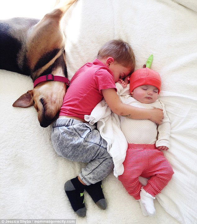 Hiện, trang Instagram cá nhân của nhiếp ảnh gia Jessica đã thu hút đến tận 505.000 lượt theo dõi, ai nấy đều ngóng chờ những bức ảnh mới nhất của cô ghi lại những khoảnh khắc đẹp đẽ giữa 2 em bé và chú chó cưng.
