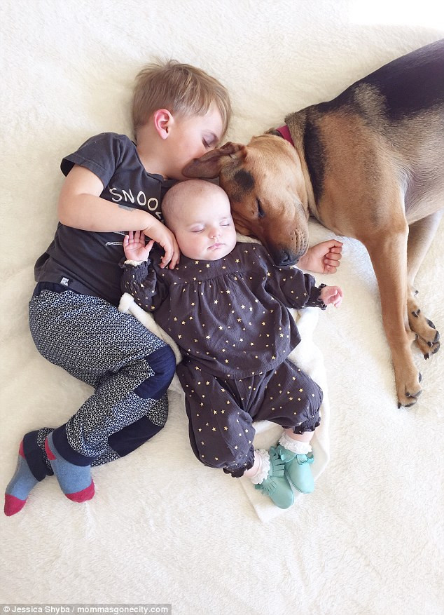 Trước đó, những hình ảnh đầu tiên về bé Beau và chú chó Theo được tung lên đã khiến rất nhiều người thích thú.