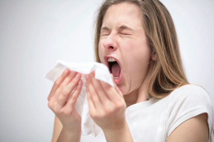 Bên cạnh đó, nhiều người sống trong nhà ẩm mốc còn có thể bị dị ứng với các triệu chứng như đau họng, ho, chảy nước mũi, hắt hơi,...Ảnh: wp.