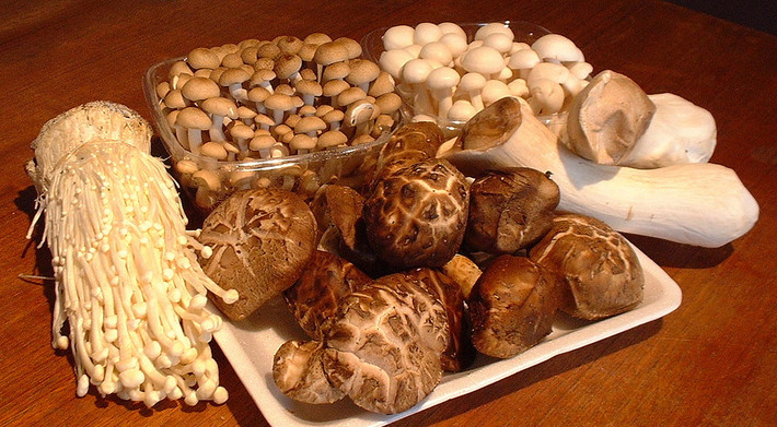 Người bị đau dạ dày cũng không nên ăn các loại nấm, nhất là các loại nấm còn non, vì ở trong nấm non có chất phalin rất độc chưa bị hủy, có thể làm tổn thương dạ dày. (Nguồn Phunutoday)