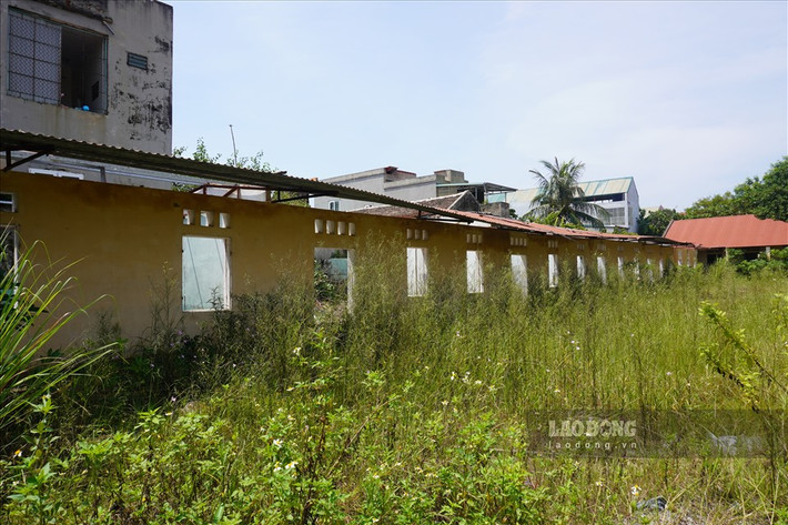 Bên trong khuôn viên cỏ dại mọc kín sân trường. Nhưng mái tôn của dãy nhà tầng và cấp 4 đều bị lấy trộm đi.