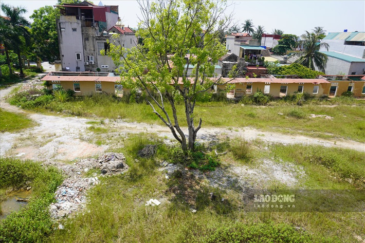 Trao đổi với Lao Động, ông Nguyễn Xuân Trường - Chủ tịch UBND thị trấn Hậu Lộc (huyện Hậu Lộc, Thanh Hóa) cho biết, đúng là trên địa bàn có 2 ngôi trường nhiều năm bị bỏ hoang, hiện tại địa phương đã làm thủ tục trình huyện để hoàn thiện kế hoặch, nhằm chuyển đổi mục đích sử dụng đất các trường này sang việc khác.