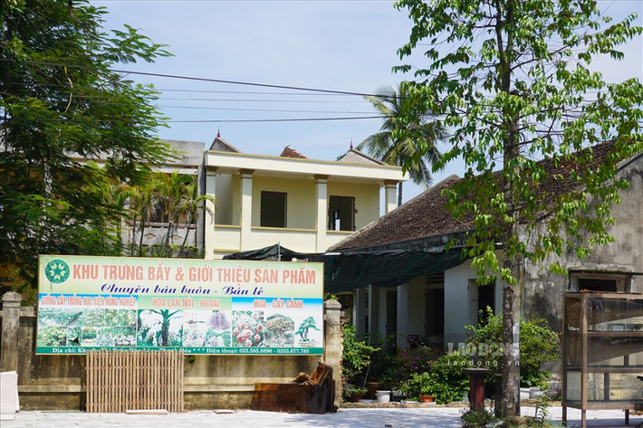 Trao đổi với Lao Động, ông Nguyễn Xuân Trường - Chủ tịch UBND thị trấn Hậu Lộc (huyện Hậu Lộc, Thanh Hóa) cho biết, đúng là trên địa bàn có 2 ngôi trường nhiều năm nay để hoang. Nguyên nhân là do thực hiện đề án “Sắp xếp các trường THPT công lập trên địa bàn tỉnh Thanh Hóa đến năm 2025”, Trường THPT Đinh Chương Dương thuộc diện trường bán công nên dôi dư. Các học sinh ở trường này được chuyển đến học ở các trường công lập khác trên địa bàn huyện.
