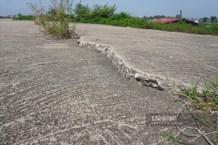 Tuyến đê tả sông Mã dài 7 km đi qua các xã Hoằng Tân, Hoằng Châu, Hoằng Phong (Hoằng Hóa - Thanh Hóa), có tổng mức đầu tư hơn 107 tỉ đồng, do Chi cục Thủy lợi - Sở NN-PTNT tỉnh Thanh Hóa làm chủ đầu tư.