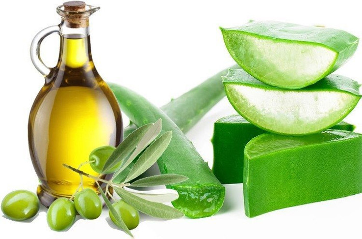 Kết hợp cùng nha đam. Hãy trộn gel nha đam và tinh dầu ô liu với tỉ lệ 1:1 và trực tiếp thoa chúng lên da rồi tắm lại bằng nước hoặc sữa tắm bình thường. Một tuần thực hiện khoảng 2-3 lần, làn da sẽ được trẻ hóa một cách tự nhiên. Ảnh: Beauty Epic.
