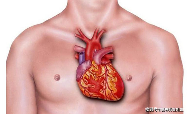 Thực tế, các cơn nhồi máu cơ tim sẽ có những dấu hiệu sớm báo trước. Đặc biệt, những người bị huyết áp cao có nguy cơ mắc bệnh tim cao hơn 2,5 lần so với người bình thường. Do vậy nhóm người này nên hết sức lắng nghe cơ thể.