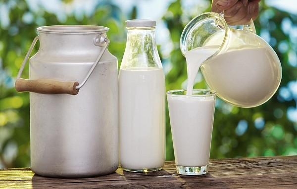 Tránh những loại sữa chưa tiệt trùng và phô mai làm từ sữa chua tiệt trùng có độ tuổi ít hơn 60 ngày. Sữa tươi chưa tiệt trùng có thể chứa những vi khuẩn như E.coli, salmonella gây bệnh nghiêm trọng, thậm chí có thể tử vong.