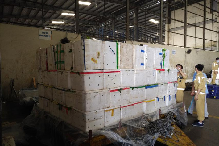 Chiều qua, chuyến bay VN7217 khởi hành từ Hà Nội đi TP HCM đã mang theo 40 tấn vải thiều Bắc Giang.