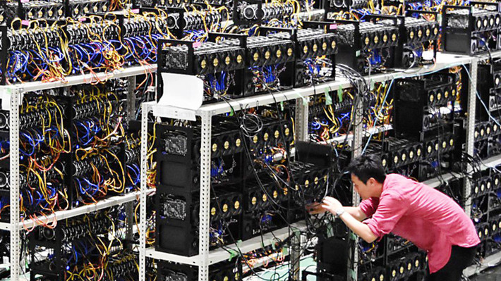 Đến khoảng cuối năm 2016 khi giá Bitcoin tăng mạnh, dân đào lại đổ xô đi mua VGA mới và cũ để lắp dàn máy chuyên dụng, được gọi dân dã là dàn trâu cày. Dàn máy này được chia làm hai loại là trâu xanh (VGA của Nvidia) hoặc trâu đỏ (VGA của AMD). Khi Bitcoin tụt từ đỉnh gần 20.000 USD xuống còn 3.000 USD khiến tiền ảo sập sàn, dẫn đến tình trạng xả trâu, bán tháo VGA hồi năm 2018.