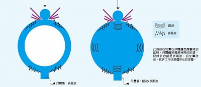 các nhà khoa học NaSa sau khi đo đạc đã phát hiện ra mặt trăng rỗng bên trong, phát hiện này đã gây chấn động, bởi một cấu trúc một vệ tinh tự nhiên thì không thể có cấu trúc rỗng. Mặt khác mặt trăng cũng là một vệ tinh bất thường, trung bình một vệ tinh tự nhiên chỉ bằng dưới 5% kích thước của hành tinh nó quay quanh, nhưng mặt trăng có tỉ lệ tới 25% kích thước của trái đất.