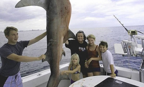 Năm 2012, bức ảnh chụp nữ diễn viên người Mĩ Rosie O'Donnell cùng gia đình vui vẻ khoe xác cá mập trong chuyến đi câu khiến cộng đồng mạng lại một lần nữa dậy sóng.