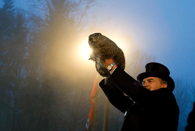 Hàng năm, vào đầu xuân, hàng ngàn người lại đổ về một thị trấn nhỏ có tên Punxsutawney ở bang Pennsylvania để tham gia Ngày Chuột chũi. Vào ngày này, họ tập trung ở đây để nghe một con chuột chũi béo mũm mĩm có tên gọi Punxsutawney Phil dự báo thời tiết.
