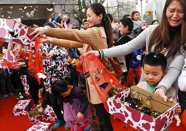 Sự kiện có tên là "Sự giải thoát cho loài bướm" này xảy ra ở một công viên thuộc Thành Đô, Tứ Xuyên, Trung Quốc, thu hút hàng ngàn người dân háo hức tới tham dự.