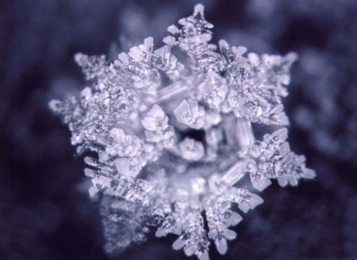 Tiến sĩ Masaru Emoto (Nhật Bản) phát hiện thấy nước sạch từ suối và được tiếp xúc với những lời yêu thương tạo thành những bông tuyết rực rỡ và đầy màu sắc. Tuy nhiên, nước ô nhiễm, hoặc nước tiếp xúc với những suy nghĩ tiêu cực lại tạo ra những bông tuyết xỉn màu, xấu xí. Như vậy, có thể thấy rằng nước cũng cảm nhận được tình cảm.