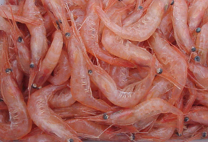 Chitin là một chất cực kỳ hữu ích tạo độ ẩm cho da, kích thích thực vật tăng trưởng, và thậm chí giúp tóc người trở nên mượt mà. Vì vậy, chất này rất phổ biến trong y học và nông nghiệp. Và các bạn có biết chitin có ở đâu không? Chính là từ vỏ tôm và các động vật có vỏ khác.
