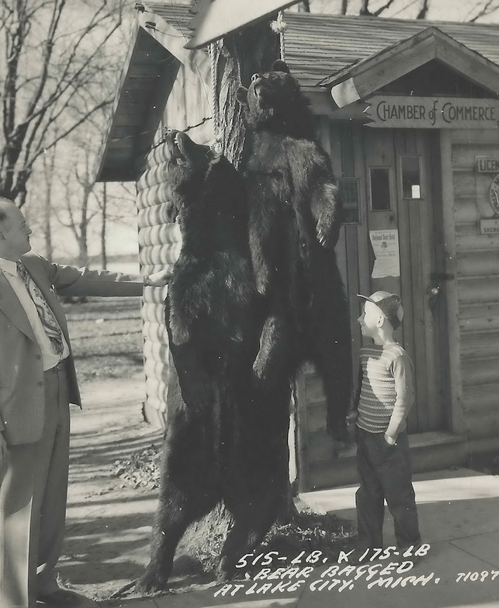Một cậu bé say mê ngắm hai con gấu bị treo cổ trong thành phố Lake, Michigan (Mỹ).