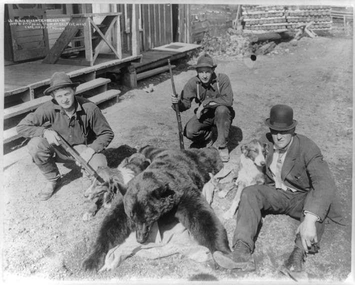 Ngày 12/5/1910 tại thị trấn khai thác mỏ Saltese, Montana (Mỹ), H. Wallace English đã chụp bức ảnh này ghi lại hình ảnh của thợ săn gấu Jim O'Brine cùng hai người bạn và con chó săn bên cạnh con gấu đen nặng tới 115kg bị bắn chết tại Rừng Quốc gia Lolo.