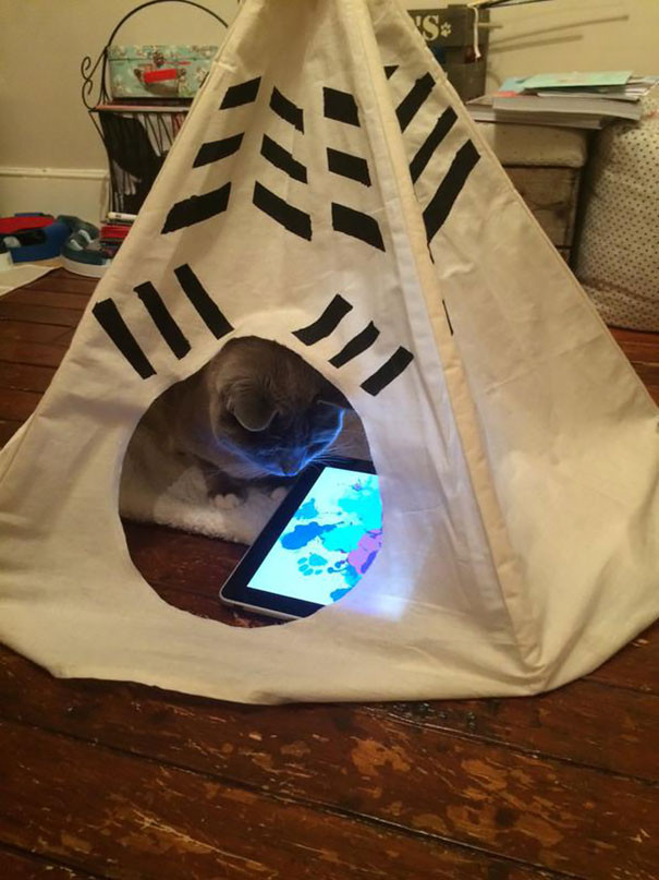 Chui vào lều và... in dấu chân lên Ipad.
