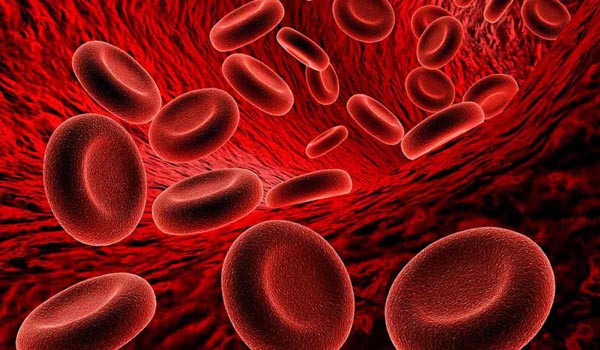 Những người mắc bệnh thiếu máu cũng cần tránh uống trà. Theo The Health Site, chất tannin trong trà cản trở sự hấp thu sắt từ thực phẩm, khiến cơ thể không nhận được đủ sắt. Vì thế, người thiếu máu không nên uống chúng. Ngoài ra, chất caffeine của trà làm tăng nhiệt độ cơ thể và giảm hiệu quả của thuốc, do vậy, người bị sốt cũng nên tránh xa trà.